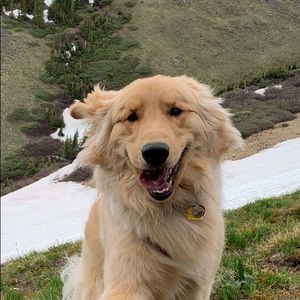 Meet your Posher, Marcie